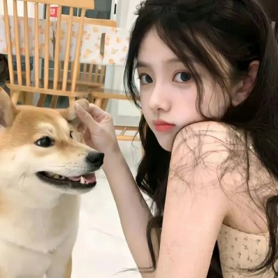 圣诞精灵